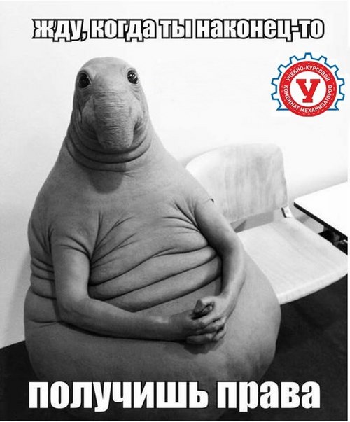Для