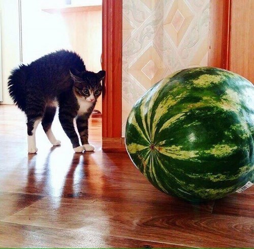 Изображение Самара