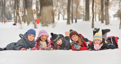 Фото Айрис лингвистический