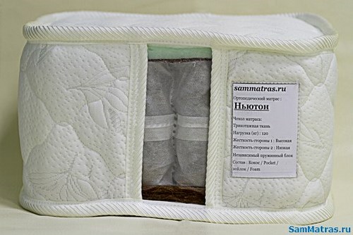 Академия-С, ООО