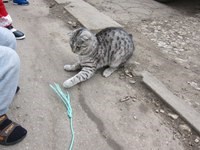 Новость Босоногое детство