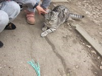 Для Босоногое детство Самара