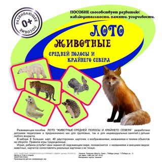 Изображение Детки-Конфетки Самара