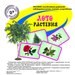 Изображение Детки-Конфетки, детский клуб