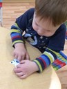 Два жирафа студия