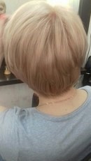 Фото Коты студия