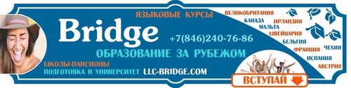 Логотип компании LLC Bridge, многопрофильное агентство