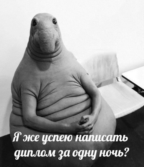 Отлично63 центр помощи
