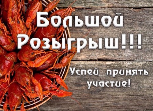 Сеть магазинов по продаже живых раков, ИП Дворцов А.М.