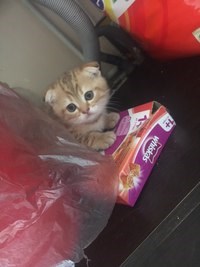 Смайлик детский клуб