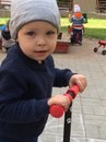 Сорока Белобока Самара