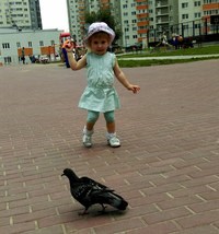 Сорока Белобока Самара