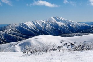 Для Свобода общения, центр иностранных языков