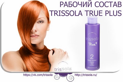 Trissola