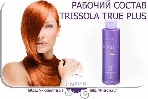  Trissola