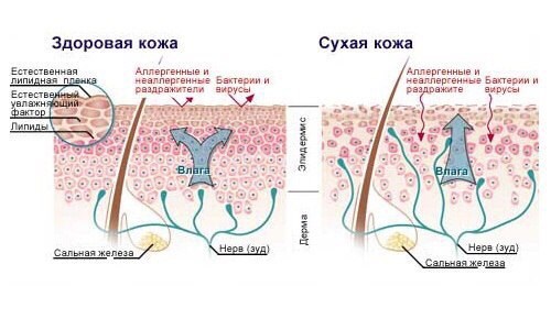 Изображение YesStyle, салон