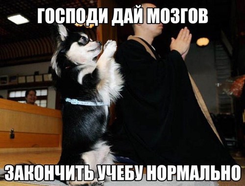 Знание группа компаний