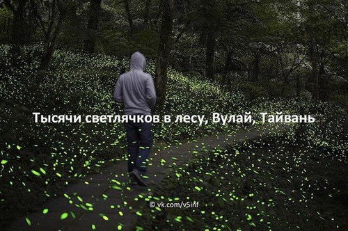 Знания Плюс